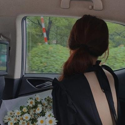 小白菜奇案